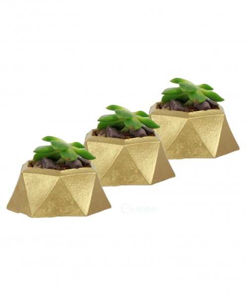 Mini Çiçek Saksı Küçük Sukulent Altın Kaktüs Saksısı 3lü Set Mini Poly 2 Model